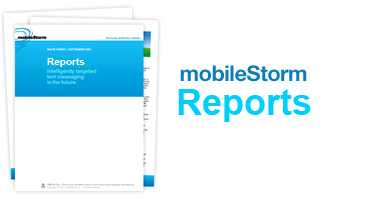 Digital Marketing Reports Digital Marketing Reports